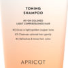 Toning Shampoo Apricot